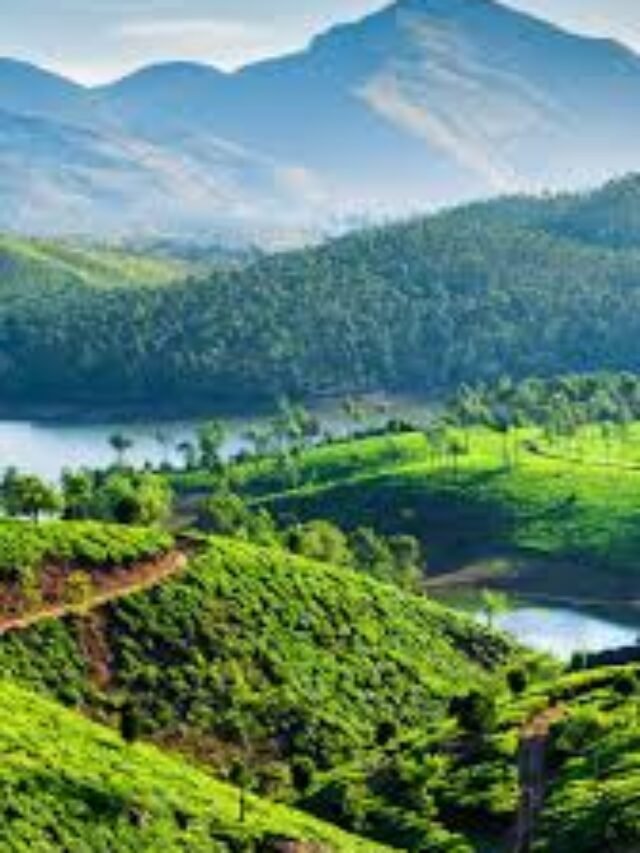 10 Most Beautiful Places of Kerala, After Seeing These Images You Will Also Feel Like Visiting Kerala.